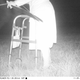 Illustration for article titled Police set up camera to record wildlife, capture shithead teens instead